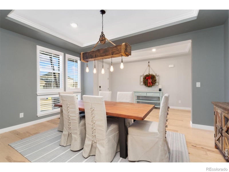 2883 Storm View Ct, Timnath, CO 80547