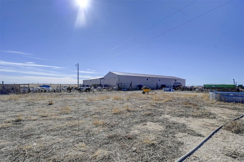 7455 Rush Rd, Rush, CO 80833
