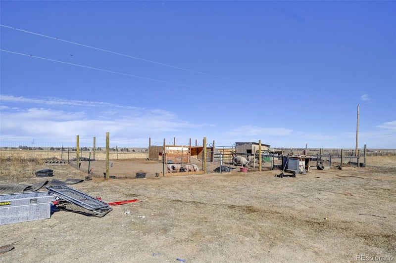 7455 Rush Rd, Rush, CO 80833