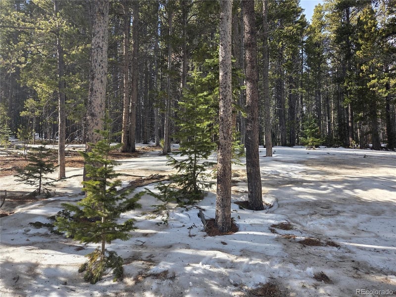 293 Beaver Rd, Idaho Springs, CO 80452