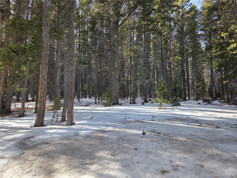 293 Beaver Rd, Idaho Springs, CO 80452