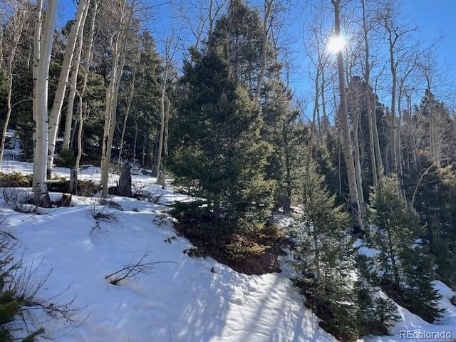 Lot 5339 Howard Rd, Fort Garland, CO 81133