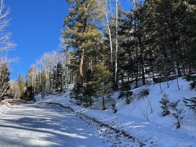 Lot 5339 Howard Rd, Fort Garland, CO 81133