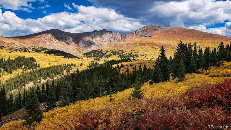 7039 Homeplace St, Castle Rock, CO 80108