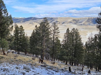 4260 Middle Fork Vi, Fairplay, CO 80440