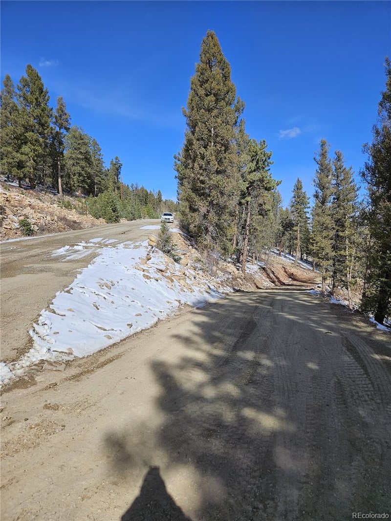 4260 Middle Fork Vi Lot 510, Fairplay, CO 80440
