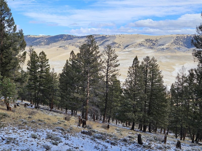 4260 Middle Fork Vi Lot 510, Fairplay, CO 80440
