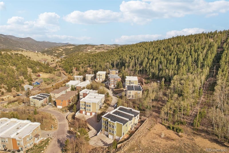 785 Martin Dr, Central City, CO 80427