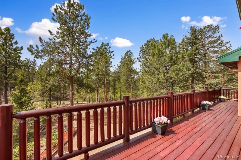 381 Saddleback Creek Dr, Florissant, CO 80816