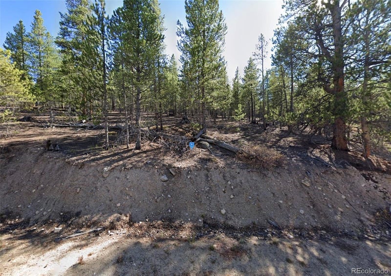 852 Spruce Dr, Twin Lakes, CO 81251