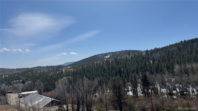 591 Eureka St, Central City, CO 80427