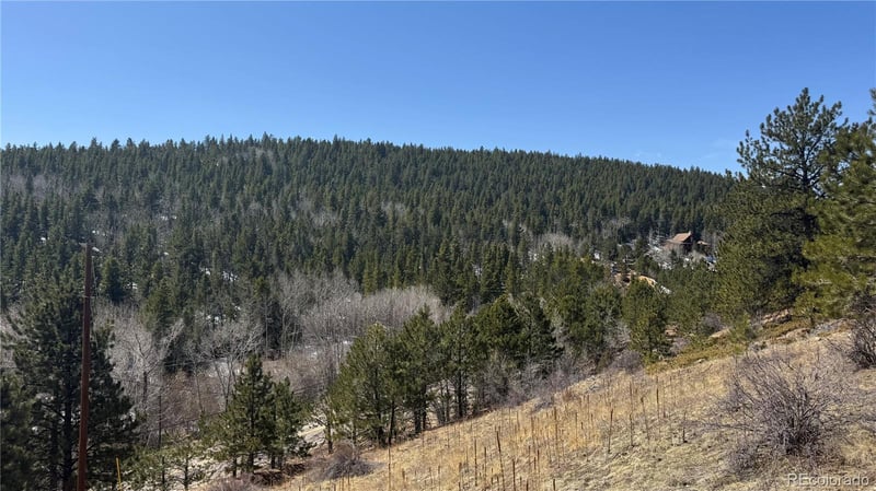 591 Eureka St, Central City, CO 80427