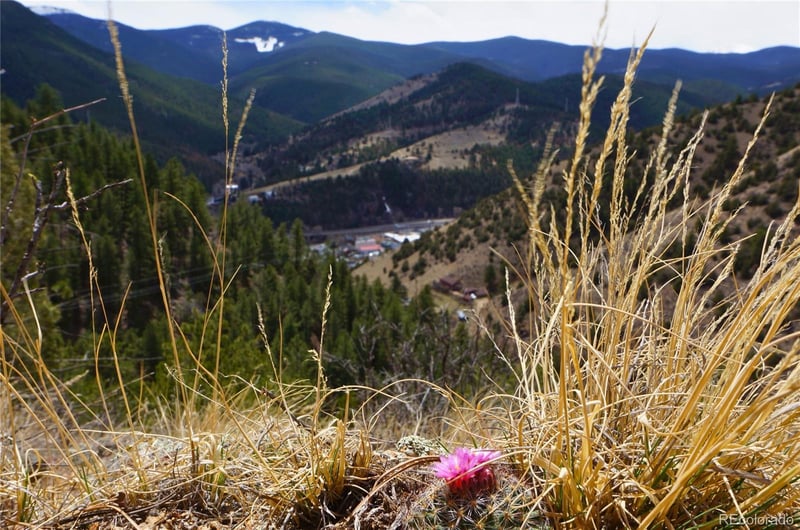 000 Virginia Canyon Rd, Idaho Springs, CO 80452