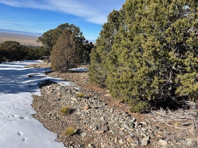 209 Blanca Pl, Mosca, CO 81146