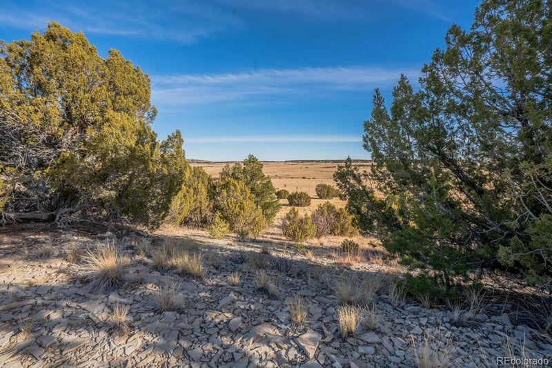24 Hatchet Ranch, Colorado City, CO 81019