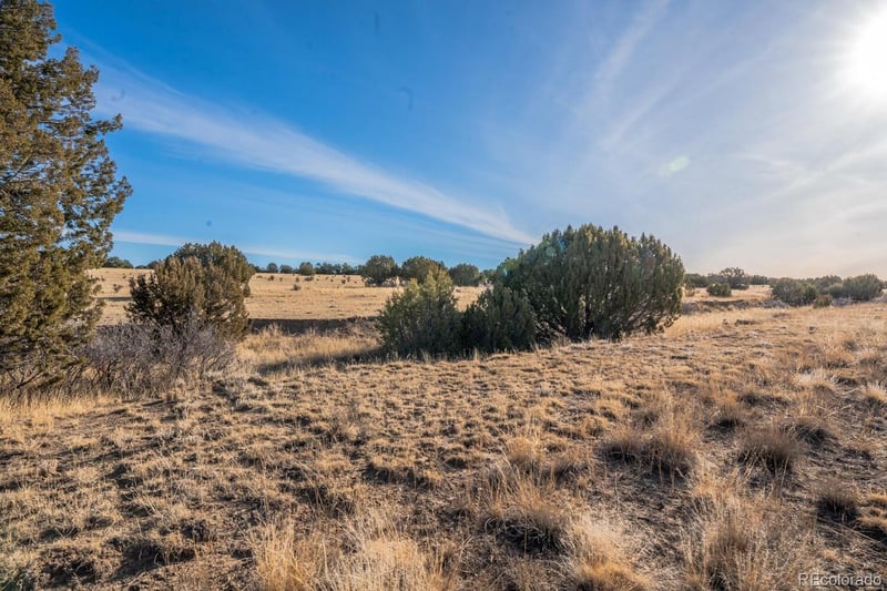 24 Hatchet Ranch, Colorado City, CO 81019