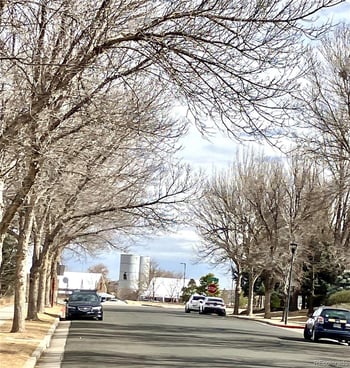 5551 Cornerstone Dr #25, Fort Collins, CO 80528