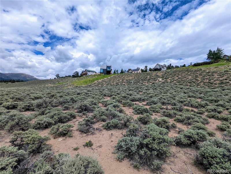 445 Mt Hope, Twin Lakes, CO 81251