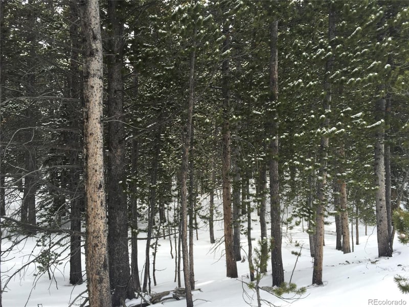 1090 Alice Rd, Idaho Springs, CO 80452