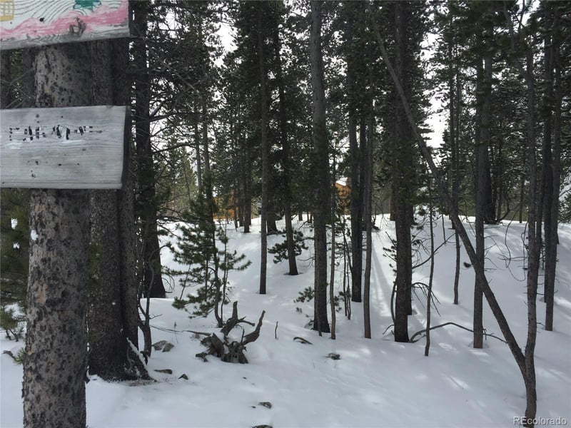 1090 Alice Rd, Idaho Springs, CO 80452