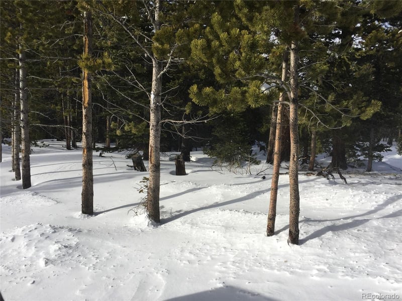 1090 Alice Rd, Idaho Springs, CO 80452