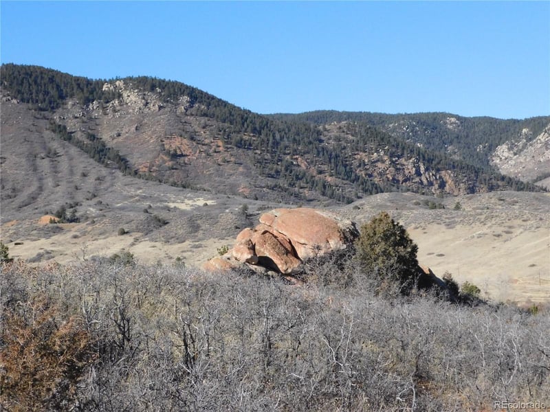 6271 Country Club Dr, Larkspur, CO 80118