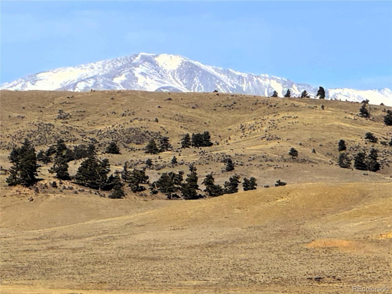 14501 Chickasaw Rd Lot 5679, Hartsel, CO 80449