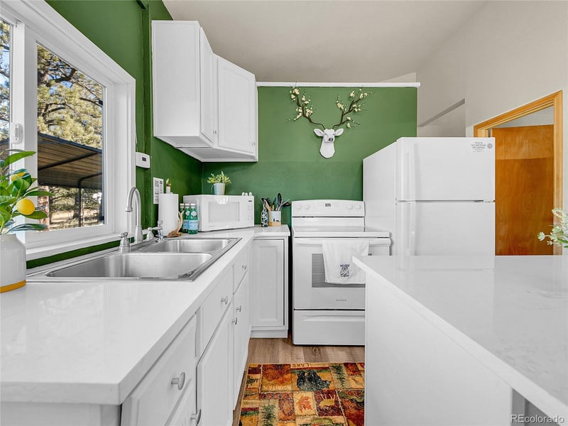 10 Bartimous Rd, Bailey, CO 80421