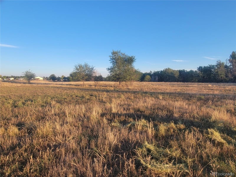 Main St, Timnath, CO 80547