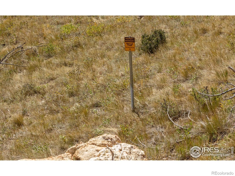 45 Bull Rock Ct, Livermore, CO 80536