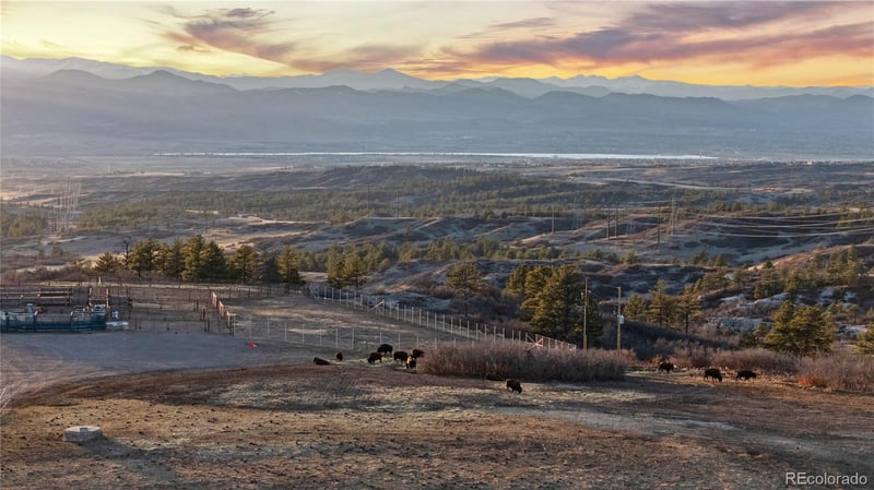 5810 Amber Ridge Dr, Castle Pines, CO 80108