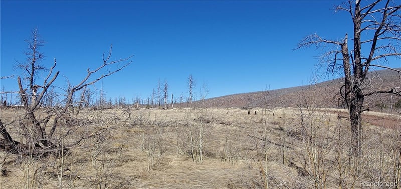Lot 1566 Cary Ln, Fort Garland, CO 81133