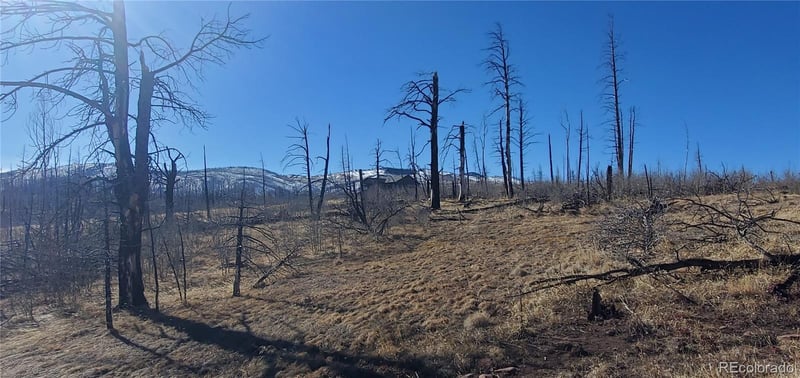 Lot 1566 Cary Ln, Fort Garland, CO 81133