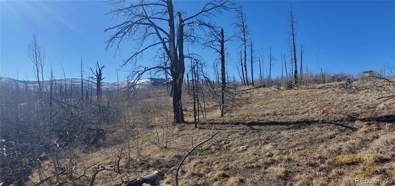 Lot 1566 Cary Ln, Fort Garland, CO 81133