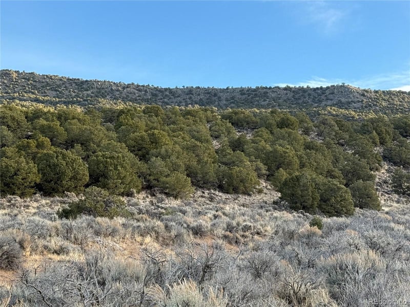 Lot 54 Old Stage Coach Rd Lot 54, San Luis, CO 81152
