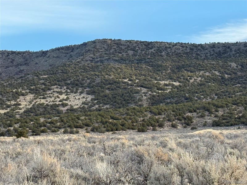 Lot 54 Old Stage Coach Rd Lot 54, San Luis, CO 81152