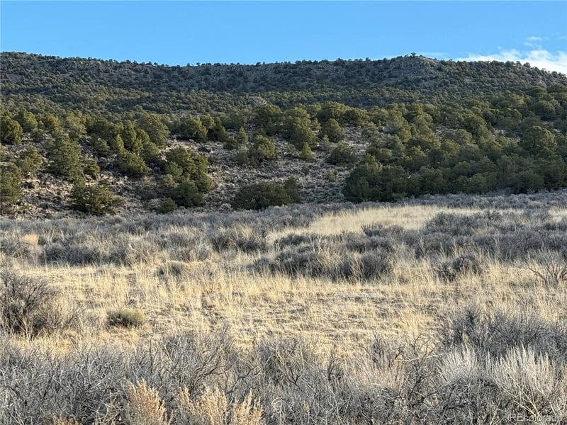 Lot 54 Old Stage Coach Rd Lot 54, San Luis, CO 81152