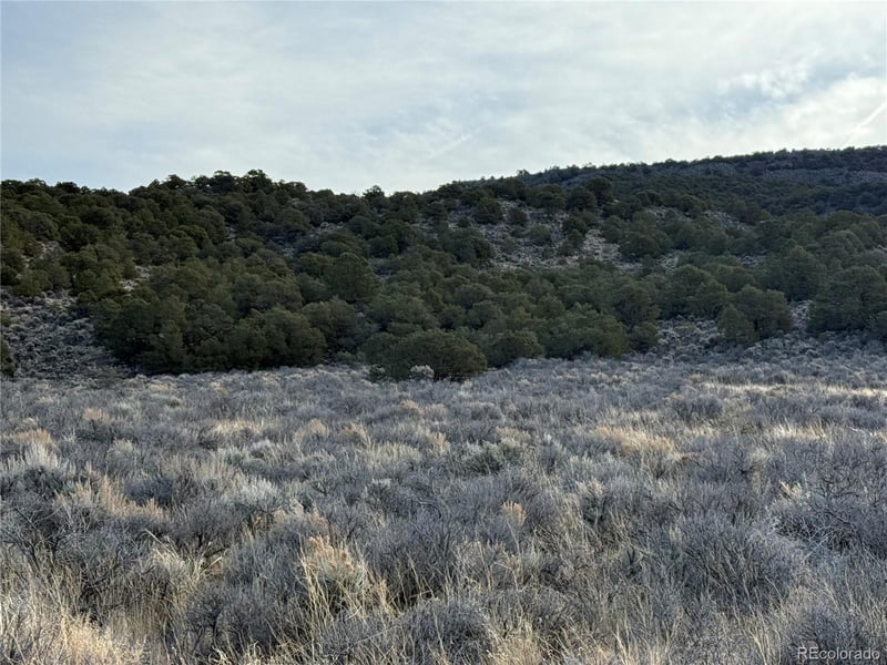 Lot 54 Old Stage Coach Rd Lot 54, San Luis, CO 81152