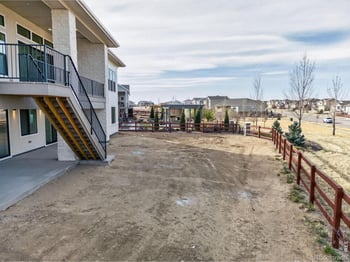 1818 Windfall Dr, Windsor, CO 80550