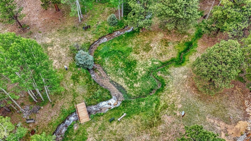 18480 Ponderosa , Buena Vista, CO 81211