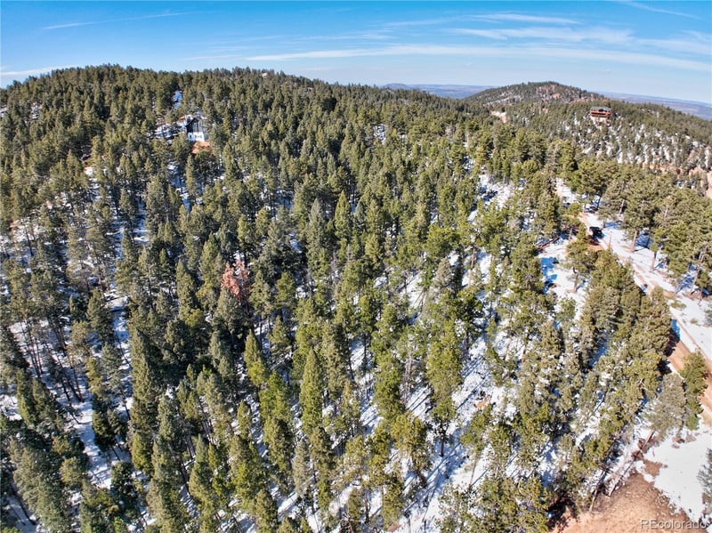 13985 Boulder Ln, Larkspur, CO 80118