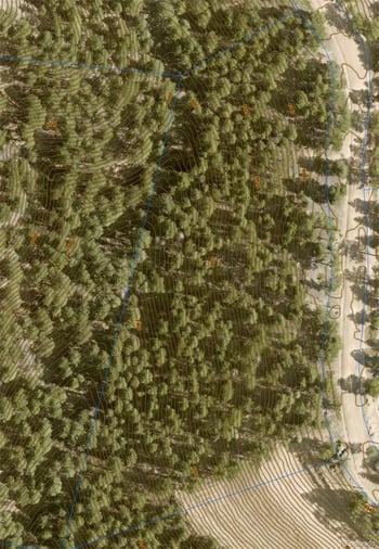 13985 Boulder Ln, Larkspur, CO 80118