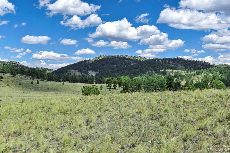 4680 County Road 71, Guffey, CO 80820