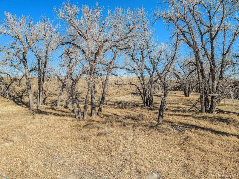 21052 Way Of Peace, Deer Trail, CO 80105