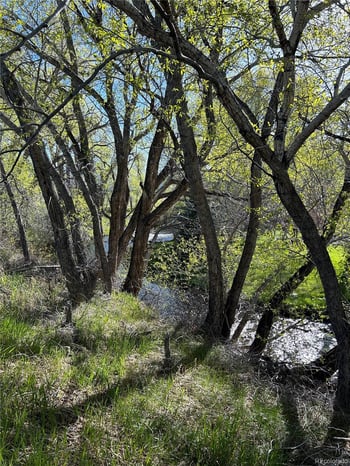 Cr 361 , Buena Vista, CO 81211