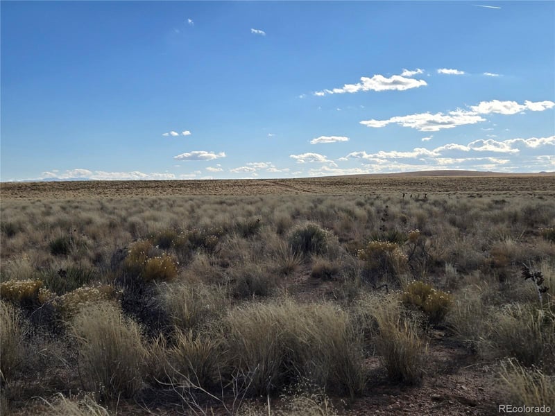 Unit 2 31st St, Blanca, CO 81123