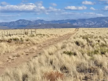 Unit 2 31st St, Blanca, CO 81123