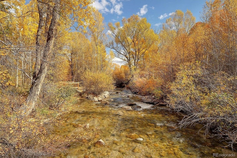 17573 Trout Cir, Buena Vista, CO 81211