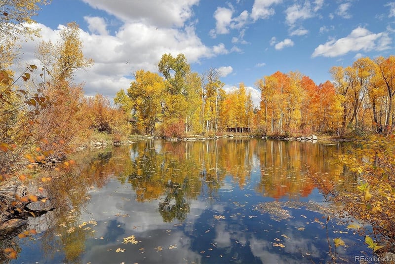 17573 Trout Cir, Buena Vista, CO 81211