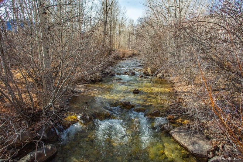 17573 Trout Cir, Buena Vista, CO 81211